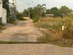 Bare Land for Sale in Mabola
