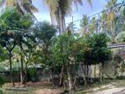 Bare land for sale in Maharagama