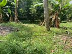 Bare Land for Sale in Malabe