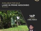 Bare Land For Sale in Negombo