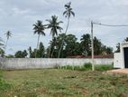 Bare Land for Sale in Negombo