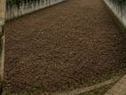 Bare Land for Sale in Negombo