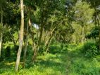 Bare Land for Sale in Negombo