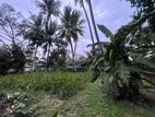 Bare Land For Sale in Off Templers Road Mount Lavinia