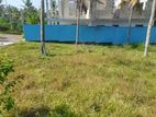 BARE LAND FOR SALE IN PANADURA - CL539