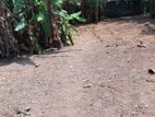 Bare Land For Sale in Pannipitiya - CL698
