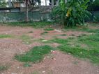 Bare Land for Sale in Pita Kotte
