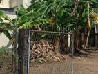 Bare Land for Sale in Rajagiriya - Pirivena Road