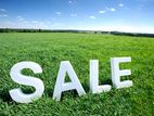 BARE LAND FOR SALE IN RATMALANA CL- 675