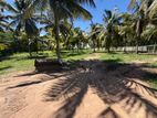 Bare Land for Sale in Tangalle
