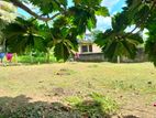 Bare Land for Sale in Thalahena