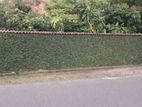 Bare Land For Sale in Udaya Mawatha Mount Lavinia
