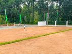 Bare Land For Sale In Veyangoda