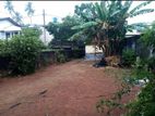 Bare Land for Sale in Wattala