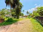 Bare Land for Sale in Wattala