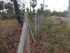 Bare Land for Sale Jaffna