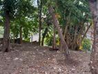 Bare Land for Sale Kotte| LS0020