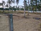 Bare Land for Sale- Minuwangoda
