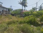Bare Land for Sale - Mount Lavinia