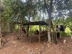 Bare Land for Sale Nakanda Ahangama