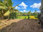 Bare Land for Sale Pannipitiya