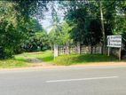 Bare Land for Sale Polonnaruwa