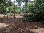 Bare Land for Sale - Ranjanagama, Kurunegala
