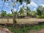 Bare Land for Sale Thalawathugoda