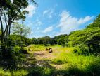 BARE LAND FOR SALE WENNAPPUWA NA2701