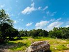 BARE LAND FOR SALE WENNAPPUWA NA2702