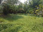 Bare Land in Mission Road Pita Kotte