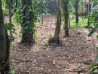 Bare Land for Sale in Kelaniya Bollagala