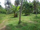 BARGAIN LAND FOR WAREHOUSE FACTORY WITH WIDE ROAD SALE MINUWANGODA