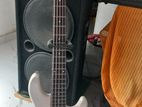 bass guitar bbg5s