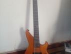 Bass Guitar