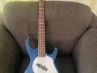 Bass Guitar