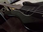 Bass Guitar