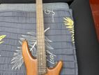 Bass Guitar