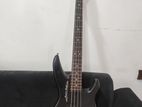 Bass guitar RBX 500R