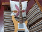 Bass Guitar