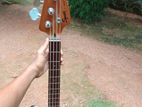 Bass Guitar