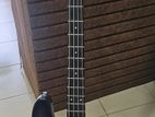 Basse Guitar