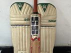 Cricket Bat with Pads