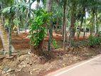 Batagama Easy Access to Negombo Main Road – Kandana