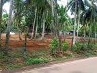 Batagama Easy Access to Negombo Main Road – Kandana Land