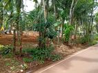 Batagama Kandana Road Luxury Land for Sale
