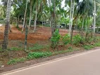 Batagama Kandana Road Luxury Land for Sale