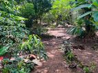 Battaramulla : 10 Perches Bare Land for Sale in Pelewatta