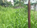 Battaramulla - 18 perches of Excellent Residential Land For Sale