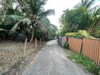 Battaramulla : 20 Perches Bare Square Land for Sale in Koswatta